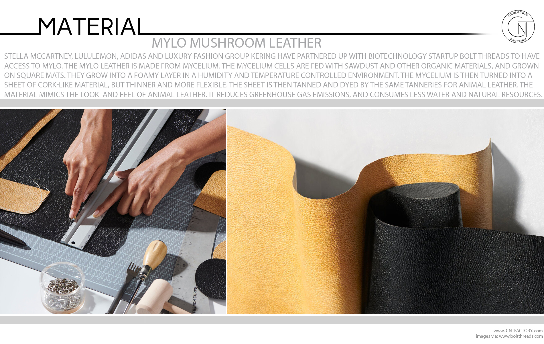 Mylo Mushroom Leather Automotive Color Materials Trim Trends