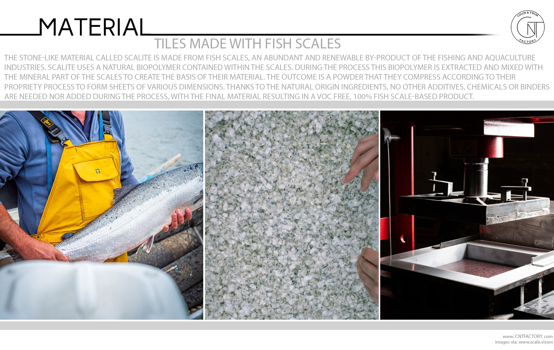 Scalite: a material made entirely of fish scales - DesignWanted :  DesignWanted