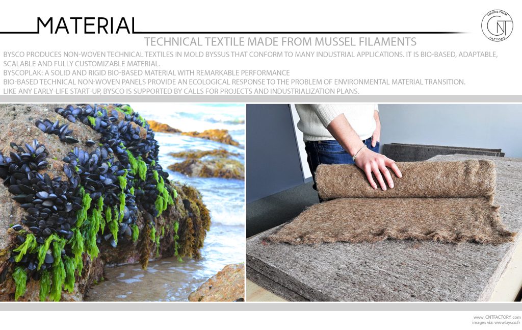 Non Woven Technical Textile Made From Mussel Filaments