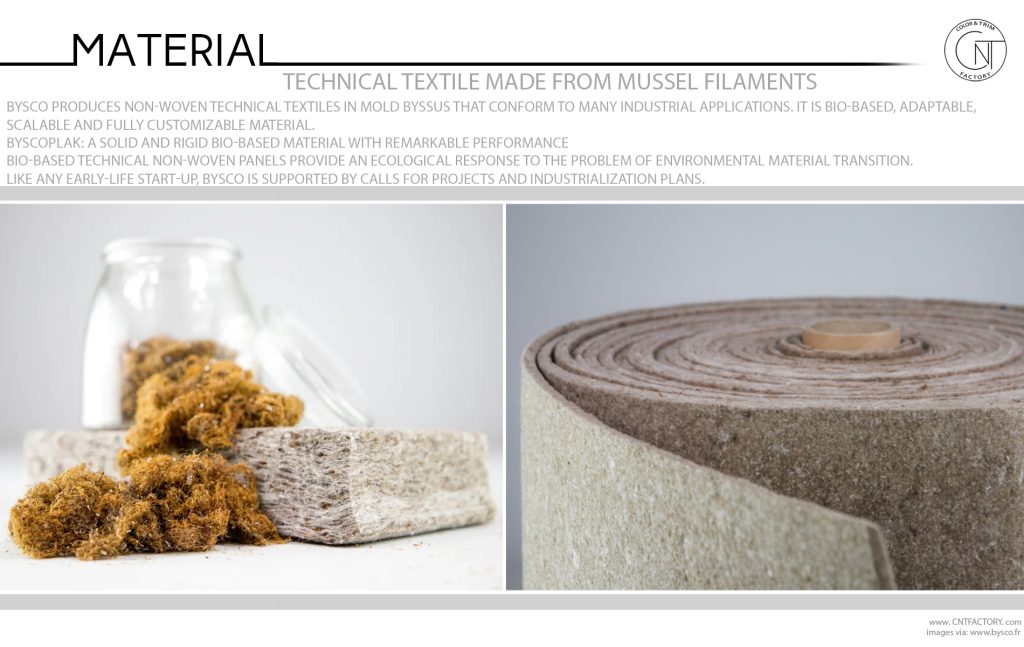 Non Woven Technical Textile Made From Mussel Filaments